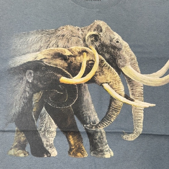2010 Field Museum Chicago Mammoth Graphic Short Sleeve T-Shirt - Blue Unisex Med - Picture 2 of 9
